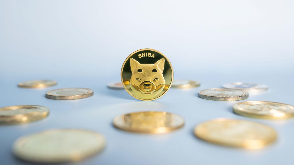 Shiba Inu: token se umístil na pátém místě v počtu držitelů tokenů ERC-20 a byl zalistován na burze Korbit