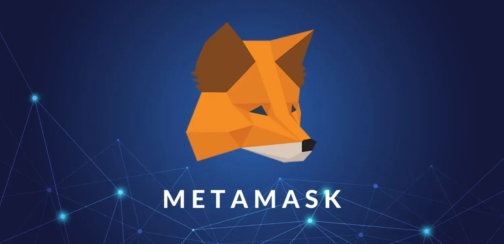 MetaMask rozšiřuje institucionální službу o úložiště