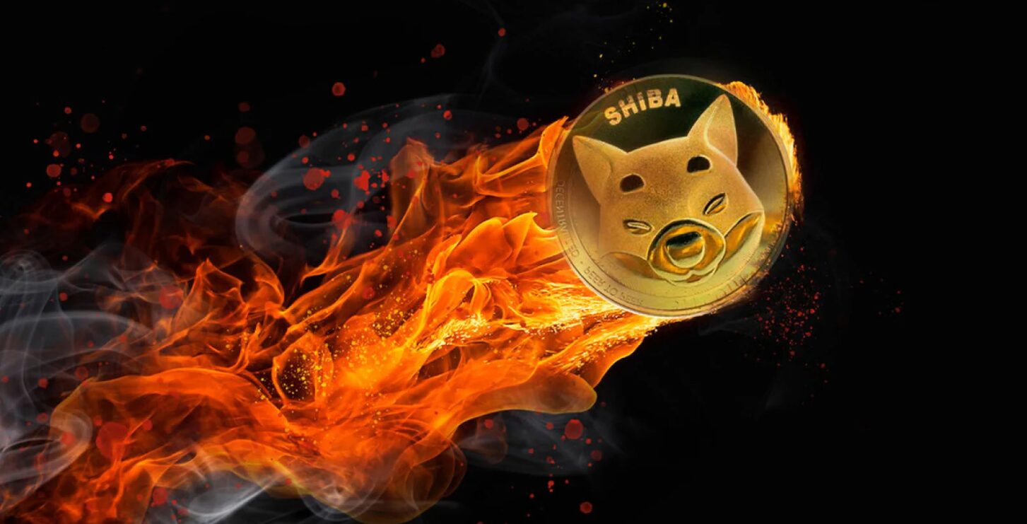 Rychlost spalování Shiba Inu se zvyšuje o 10 990 % a cena SHIB také - může dosáhnout 1 USD?