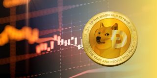 Predikce pro Dogecoin, jakou bude mít hodnotu v letech 2021 – 2030?